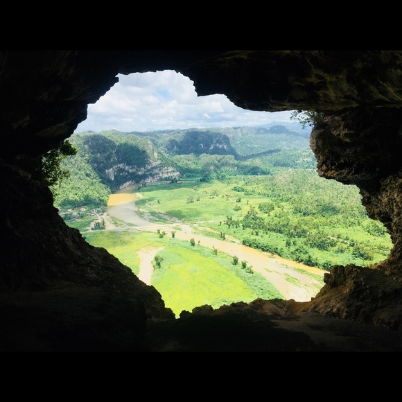 Meet your Posher, Yetzenia - Picture 8 of 8